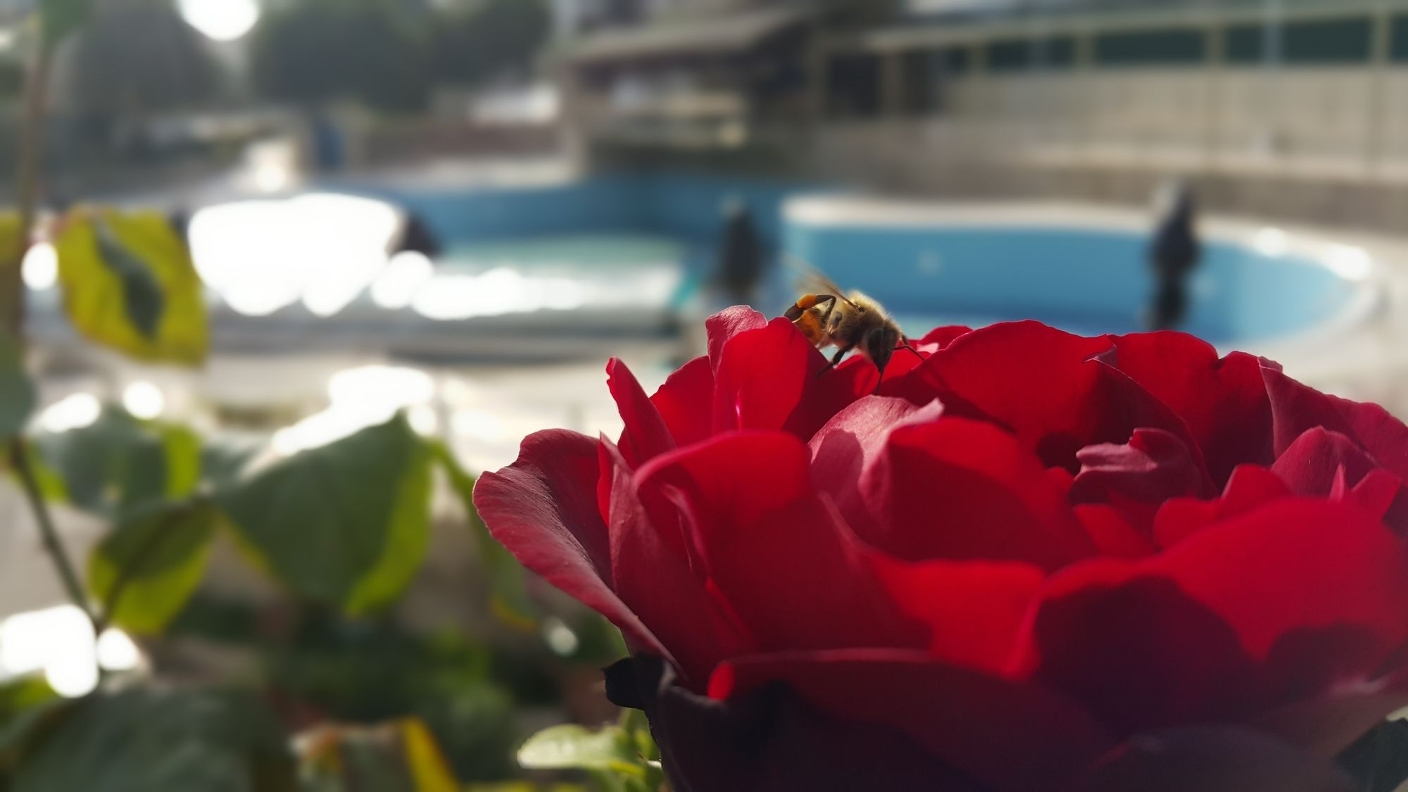 Tu Casa Gelidonya Hotel Κεμέρ Εξωτερικό φωτογραφία